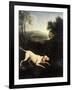 Louis XIV's Dog, Tane-Alexandre-Francois Desportes-Framed Giclee Print