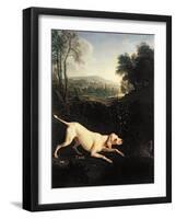 Louis XIV's Dog, Tane-Alexandre-Francois Desportes-Framed Giclee Print