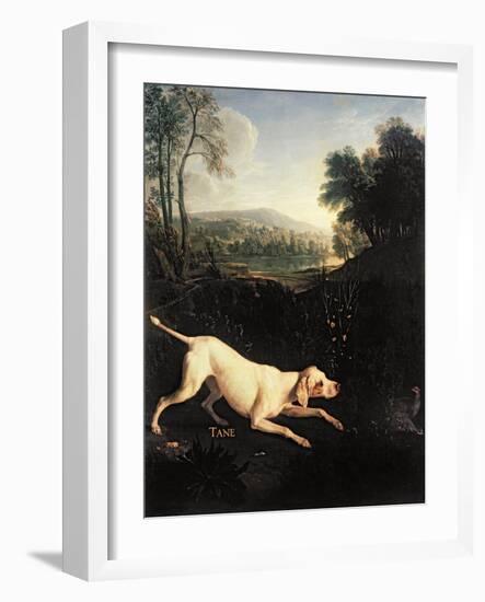 Louis XIV's Dog, Tane-Alexandre-Francois Desportes-Framed Giclee Print