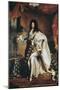 Louis XIV-Hyacinthe Rigaud-Mounted Art Print