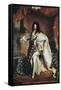 Louis XIV-Hyacinthe Rigaud-Framed Stretched Canvas