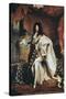 Louis XIV-Hyacinthe Rigaud-Stretched Canvas