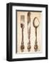 Louis XV Cutlery-Rene Stein-Framed Art Print