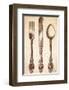 Louis XV Cutlery-Rene Stein-Framed Art Print