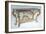 Louis XV Style Carved and Gilt Wood Console Table, France-null-Framed Giclee Print