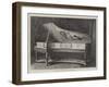 Louis XVI Erard Boudoir Grand-null-Framed Giclee Print