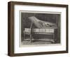 Louis XVI Erard Boudoir Grand-null-Framed Giclee Print