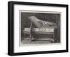 Louis XVI Erard Boudoir Grand-null-Framed Giclee Print