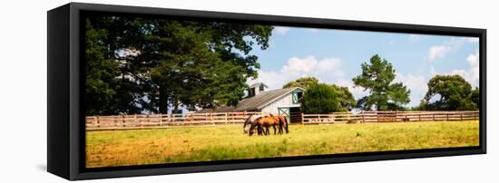 Louisa County II-Alan Hausenflock-Framed Stretched Canvas