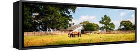 Louisa County II-Alan Hausenflock-Framed Stretched Canvas