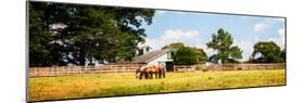 Louisa County II-Alan Hausenflock-Mounted Photo