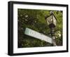 Louisburg Square, Beacon Hill, Boston, Massachusetts, USA-Amanda Hall-Framed Photographic Print