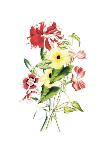 Flowers-Louise Anne Twarmley-Art Print