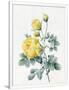 Gramercy White