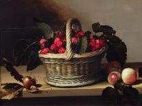 Basket of Blackberries and Raspberries (Oil on Canvas)-Louise Moillon-Giclee Print