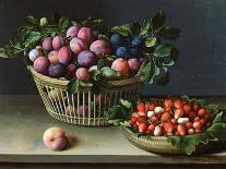 A Bowl of Cherries with Plums and a Melon, 1635 (Oil on Panel)-Louise Moillon-Giclee Print