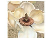 Magnolia Masterpiece I-Louise Montillio-Art Print