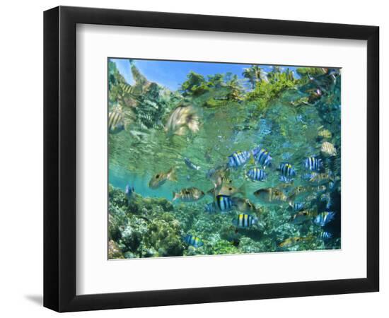 Photographic Print, , large