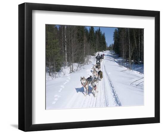 Photographic Print, , large