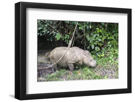 Premium Photographic Print, , large