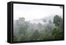 Framed Canvas