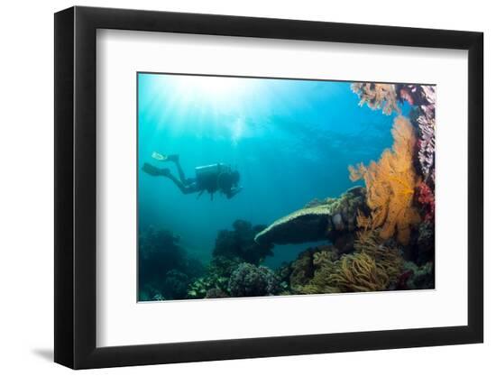 Premium Photographic Print, , large