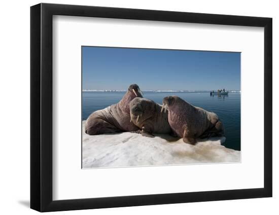 Photographic Print, , large