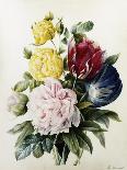 Tulips and Roses-Louise Thuillier Mornard-Giclee Print
