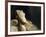 Louise Vernet, the Wife of the Artist on His Deathbed-Paul Delaroche-Framed Giclee Print