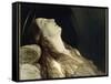 Louise Vernet, the Wife of the Artist on His Deathbed-Paul Delaroche-Framed Stretched Canvas