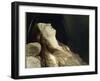 Louise Vernet, the Wife of the Artist on His Deathbed-Paul Delaroche-Framed Giclee Print