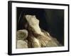 Louise Vernet, the Wife of the Artist on His Deathbed-Paul Delaroche-Framed Giclee Print