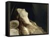 Louise Vernet, the Wife of the Artist on His Deathbed-Paul Delaroche-Framed Stretched Canvas