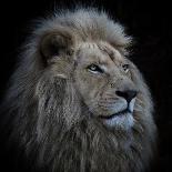 Proud Lion-Louise Wolbers-Framed Giclee Print