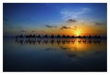 Sunset Camel Ride-Louise Wolbers-Photographic Print