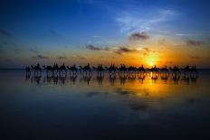 Sunset Camel Ride-Louise Wolbers-Photographic Print