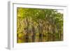 Louisiana, Atchafalaya Basin. Cypress Trees Reflect in Swamp-Jaynes Gallery-Framed Photographic Print