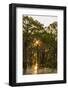 Louisiana, Atchafalaya Basin. Cypress Trees Reflect in Swamp-Jaynes Gallery-Framed Photographic Print