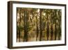 Louisiana, Atchafalaya Basin. Cypress Trees Reflect in Swamp-Jaynes Gallery-Framed Photographic Print