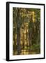 Louisiana, Atchafalaya Basin. Cypress Trees with Spanish Moss-Jaynes Gallery-Framed Photographic Print