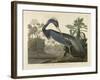 Louisiana Heron, 1834 (Hand-Coloured Aquatint on Wove Paper)-Robert The Younger Havell-Framed Giclee Print