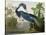 Louisiana Heron from "Birds of America"-John James Audubon-Stretched Canvas