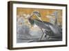 Louisiana Heron - Luxe-Eccentric Accents-Framed Giclee Print