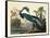 Louisiana Heron Plate 217-Porter Design-Framed Stretched Canvas