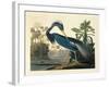 Louisiana Heron Plate 217-Porter Design-Framed Giclee Print