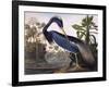 Louisiana Heron-John James Audubon-Framed Giclee Print