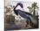 Louisiana Heron-John James Audubon-Stretched Canvas