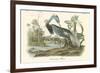 Louisiana Heron-John James Audubon-Framed Premium Giclee Print