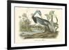 Louisiana Heron-John James Audubon-Framed Premium Giclee Print