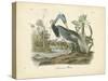 Louisiana Heron-John James Audubon-Stretched Canvas